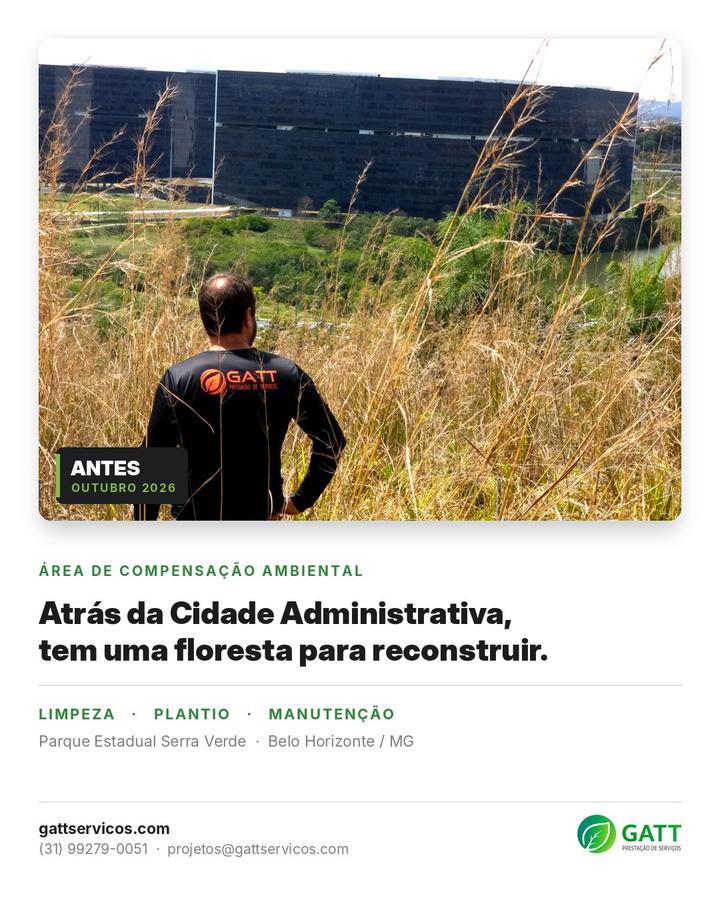 Área de compensação ambiental no Parque Estadual Serra Verde, ao lado da Cidade Administrativa, antes da recomposição